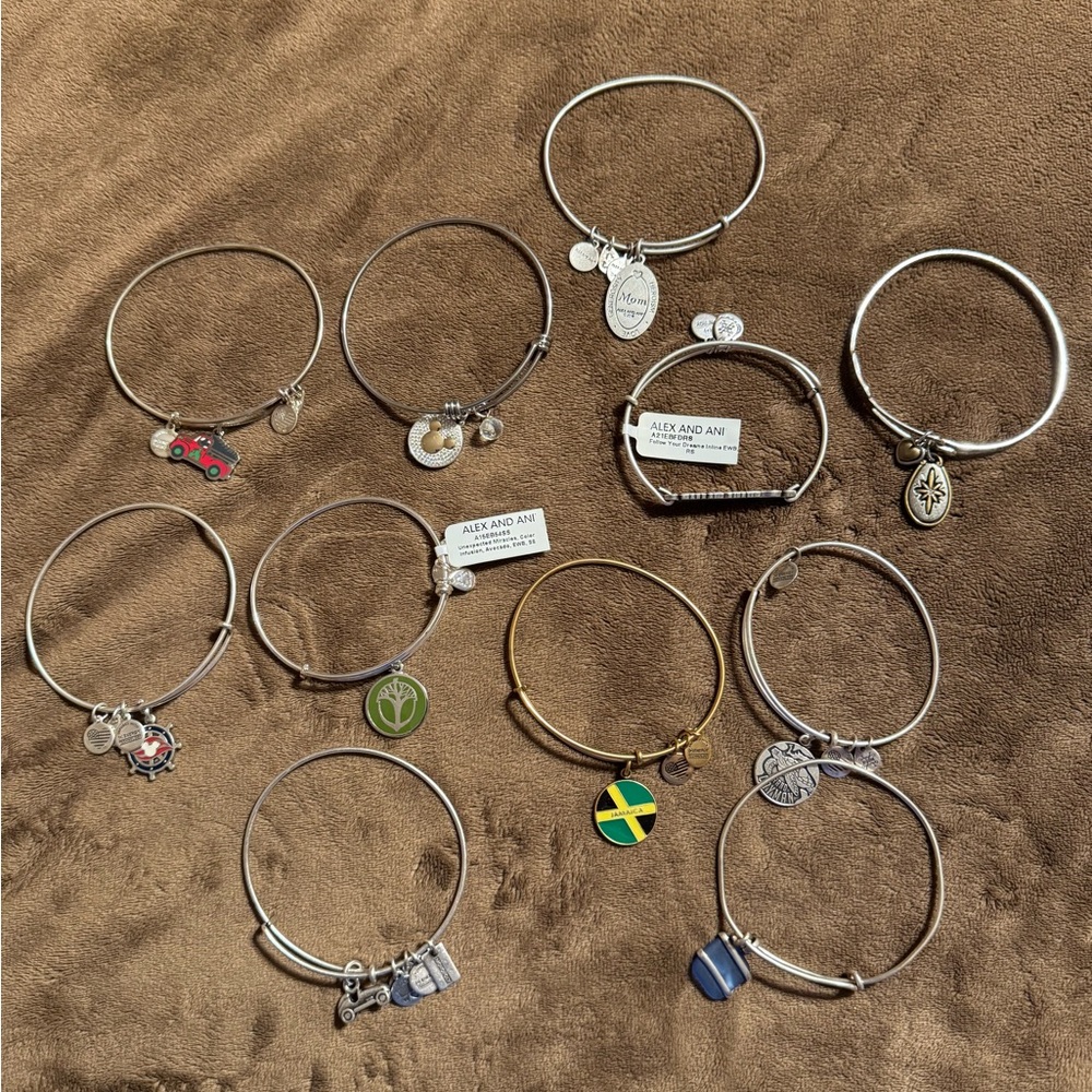 Alex and Ani Silver Charm Bracelets